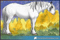 Horse Color:White Spotted Black Rabicano 
