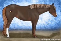 Horse Color:Liver Chestnut  and Liver Chestnut 