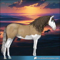 Horse Color:Classic Cream Champagne Splash