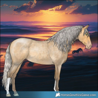 Horse Color:Silver Sable Cream Champagne Roan 