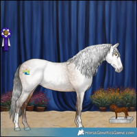 Horse Color:Gray Amber Champagne 