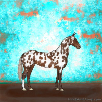 Horse Color:Silver Buckskin Appaloosa 