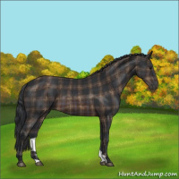 Horse Color:Plaid  Brown 