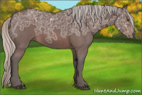 Horse Color:Silver Brown Ice Roan 