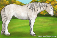 Horse Color:White Spotted Chocolate Palomino Roan Pearl Mushroom 