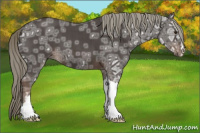 Horse Color:Liver Red Ice Roan Mushroom 