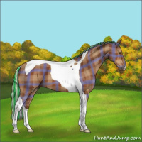 Horse Color:Painted Plaid Silver Brown Tobiano