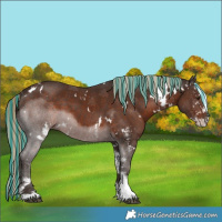Horse Color:Painted White Spotted Liver Chestnut 