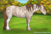 Horse Color:Liver Chestnut Ice Pearl 