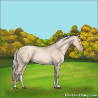 Horse Color:Painted Silver Grullo Roan Pearl 