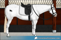 Horse Color:Smoky Grullo Tobiano Frame Snowcap 