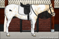 Horse Color:Silver Classic Cream Champagne Dun Tobiano Appaloosa 
