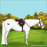 Horse Color:White Spotted Silver Smoky Creme Tobiano Appaloosa Rabicano
