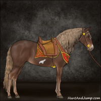 Horse Color:Liver Chestnut Frame 