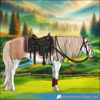 Horse Color:Gold Champagne Splash Rabicano 