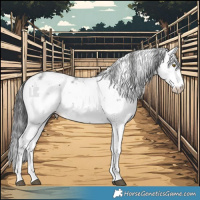 Horse Color:Smoky Black Sabino Rabicano 