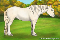 Horse Color:Buckskin Roan Pearl  and Palomino Roan Pearl 