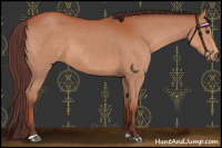 Horse Color:Chocolate Bay Sabino 
