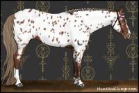 Horse Color:Liver Chestnut Sabino Near Leopard 