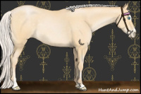 Horse Color:Chocolate Silver Buckskin Pearl Sabino Rabicano