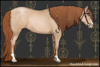 Horse Color:Chocolate Buckskin Pearl Sabino 