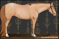 Horse Color:Chocolate Bay Pearl