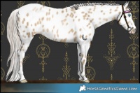 Horse Color:Chocolate Palomino Pearl Sabino Appaloosa