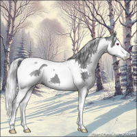 Horse Color:Silver Black Chinchilla Splash Tobiano 