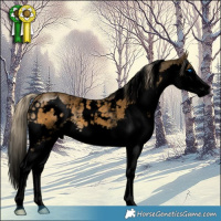 Horse Color:Void White Spotted Chocolate Palomino Mushroom Splash 