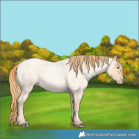 Horse Color:Buckskin Roan Pearl  and Buckskin Roan Pearl 