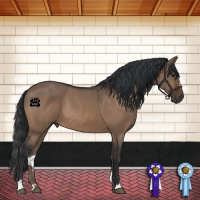 Horse Color:Brown Dun Sabino Rabicano