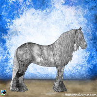 Horse Color:White Spotted Silver Brown Chinchilla Ice Onyx Sabino Rabicano