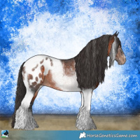 Horse Color:Brown Tobiano Blanket 