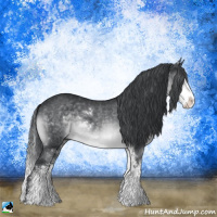 Horse Color:Brown Chinchilla Sabino 