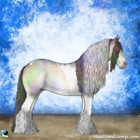 Horse Color:Nacre Brown Chinchilla Tobiano