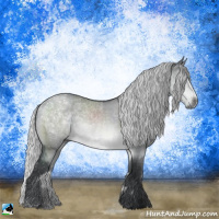 Horse Color:Silver Brown Chinchilla Dun Sabino Rabicano