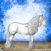 Horse Color:Silver Bay Chinchilla Ice Sabino