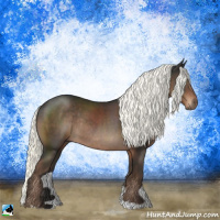 Horse Color:Liver Chestnut Mushroom Rabicano 
