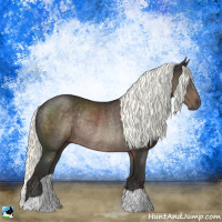 Horse Color:Liver Chestnut Mushroom Rabicano 