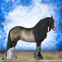 Horse Color:Brown Ice Onyx Rabicano 