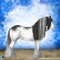 Horse Color:White Spotted Midnight Smoky Blue Onyx Ice Sabino Splash Rabicano