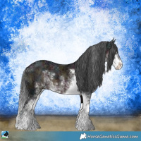 Horse Color:Midnight Brown Ice Sabino