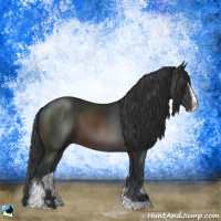 Horse Color:Brown Sabino