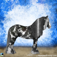 Horse Color:White Spotted Black Ice Sabino 