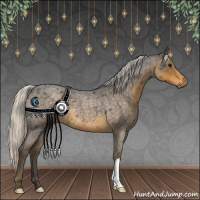 Horse Color:Silver Smoky Blue Roan 