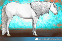 Horse Color:Chocolate Palomino Dun Appaloosa Brindle 