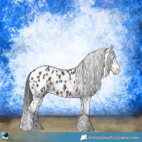 Horse Color:Brown Ice Sabino Blanket Rabicano 