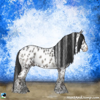 Horse Color:Blue Onyx Ice Sabino Appaloosa