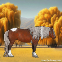 Horse Color:Silver Bay Sabino Tobiano Rabicano 