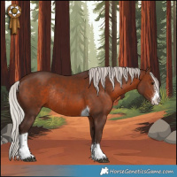 Horse Color:Silver Brown Sabino Tobiano Rabicano 